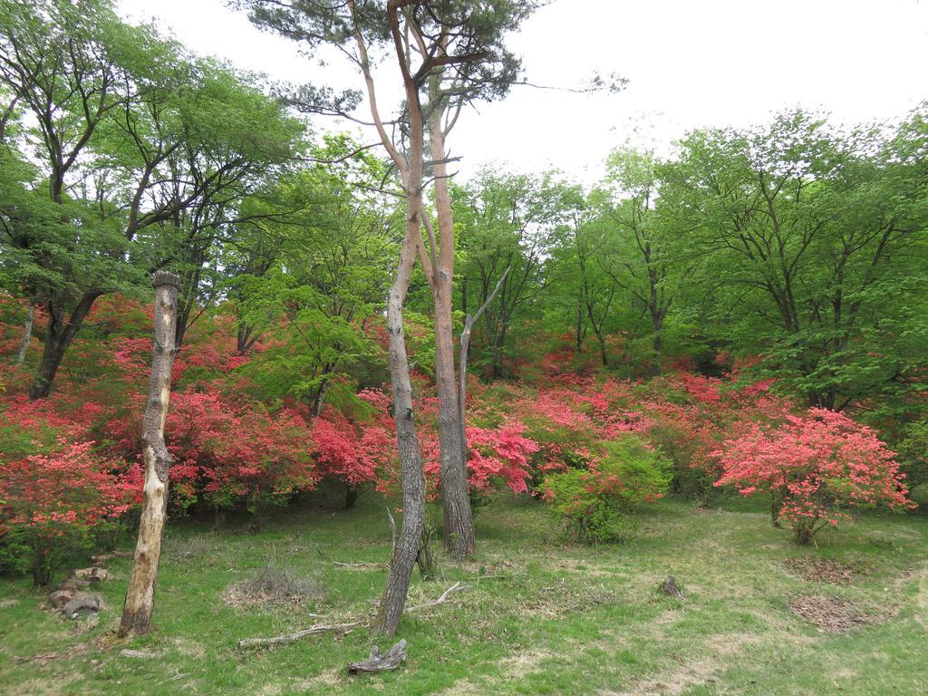Nikko Pension L'Escale Dış mekan fotoğraf