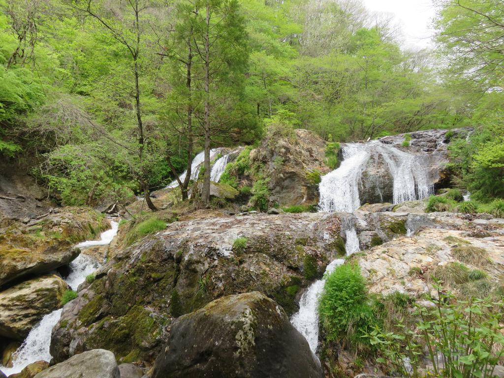 Nikko Pension L'Escale Dış mekan fotoğraf