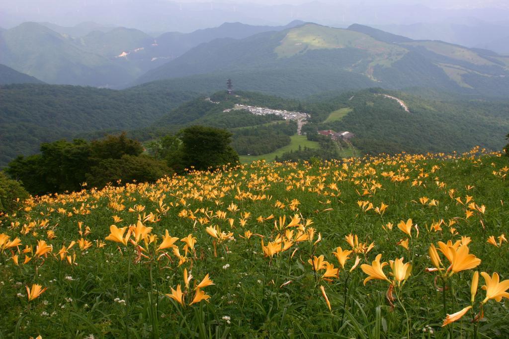 Nikko Pension L'Escale Dış mekan fotoğraf